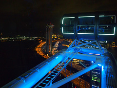 from the Singapore Flyer