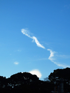 どことなく龍に見えるような雲
