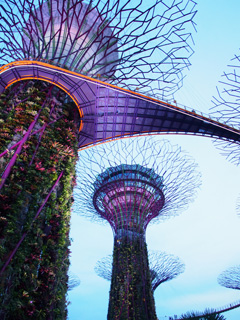 Gardens by the Bay South