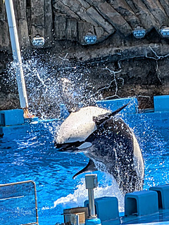 名古屋港水族館