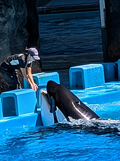 名古屋港水族館