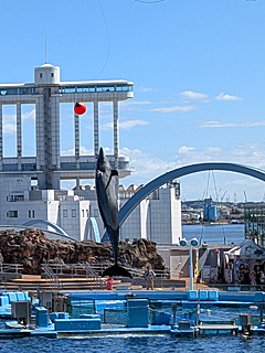 名古屋港水族館