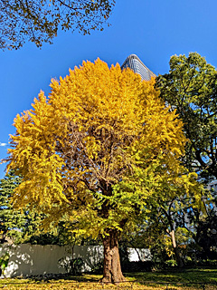 日比谷公園