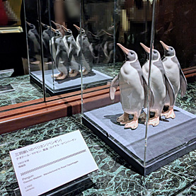 東京都庭園美術館