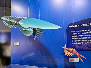 国立科学博物館