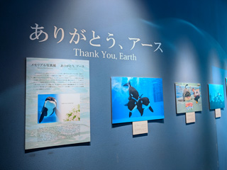 名古屋港水族館