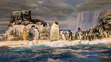 名古屋港水族館
