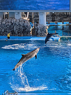 名古屋港水族館