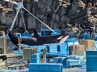 名古屋港水族館