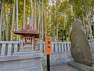 八幡の藪知らず