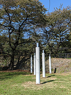 原美術館ARC